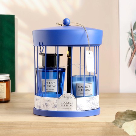Set in the Cage "Fragrant duet" Diffuser 100 ml and a candle 5x6 cm, pomelo and white tea-4