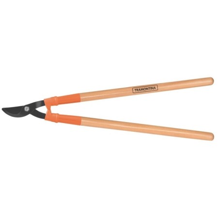 Buscores of planar, bypass, 30.7 "(78 cm), with wooden handles