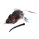 Namazu Mouse-Namazu Mouse with petals, 76 mm, 26 g, color 18, double yr hoks bn #2