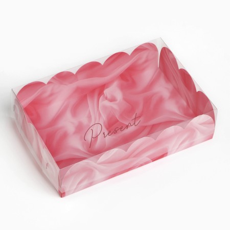 CPDITERS box with PVC cover Present, 20 x 30 x 8 cm