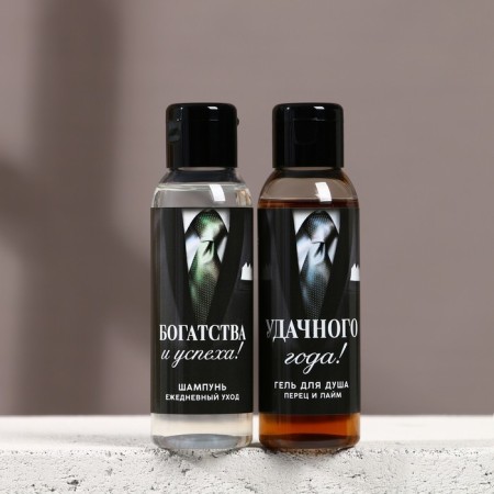 Gift set "Success in the New Year", shower gel and hair shampoo, 2x100-2