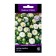 Flowers of Astra Siren White, 0.05gr