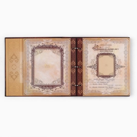 The genealogy book with a frame under the photo "Pedigree Book", under a tree, 50 sheets, 21.5 x 23.7 cm-9