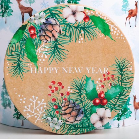 A set of gift boxes 5 in 1 "European", 13 x 14–19.5 x 22 cm, New Year-4