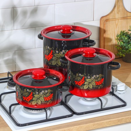 Set of pots "Ryabinka", 3 subjects: 2 l, 3.5 l, 5.5 l, enameled covers, induction-3