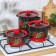 Set of pots "Ryabinka", 3 subjects: 2 l, 3.5 l, 5.5 l, enameled covers, induction