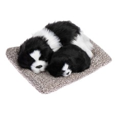 A toy on a car panel, dogs on a pillow, white and black color