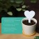 Garden signs for marking, 8.5 cm, set 20 pcs., Plastic, mix, Greengo