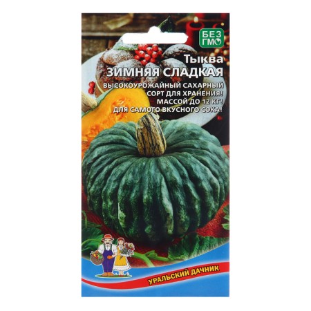 Seeds of pumpkin "Winter Sweet", 5 pcs