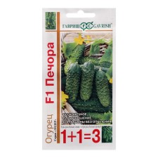 Seeds of cucumber Kornishon 