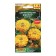 Cinnia flowers "Master", yellow, 12 pcs