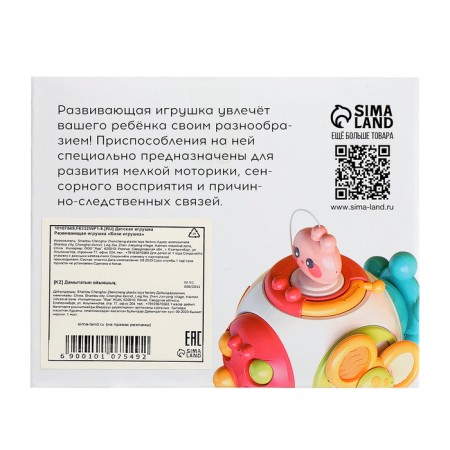 Developing toy "Bisi toy"-9