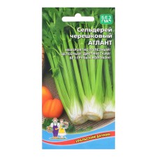 Celery Seeds 