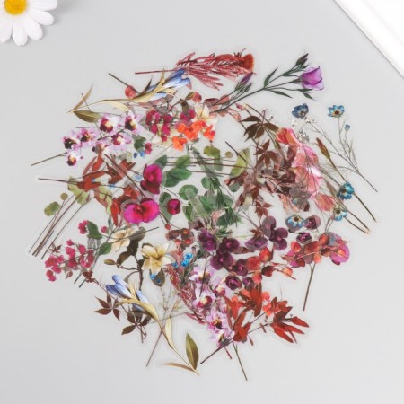 Stickers for creativity PVC "Flora" set 40 pcs 9x10.5 cm-1