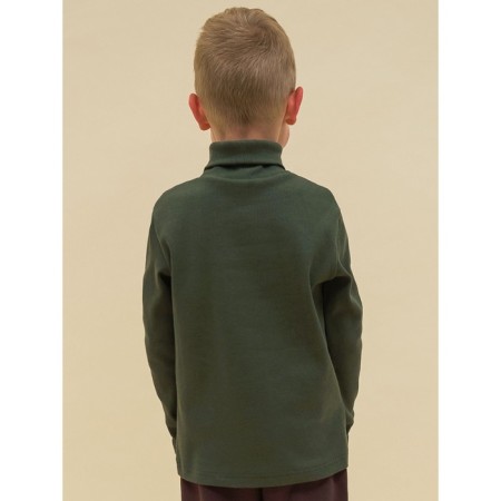 Turtleneck for the boy Pelican, height 116 cm, khaki color-2