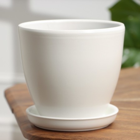 Flower Pot "Best Friend" White, 2.4 liters-1