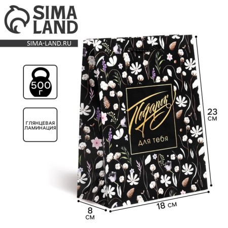 Gift package laminated, packaging, Gift for You, MS 18 x 23 x 8 cm