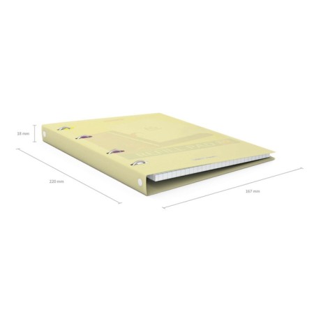A notebook on rings A5, 80 sheets in the Erichkrause "Pastel", plastic cover, OFSET BOLK, 100%whiteness, mix-11