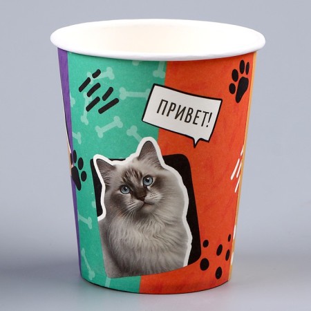 A single -single -paper cup "cats", 250ml-4