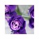 Soap roses, three -color, set of 3 pcs.