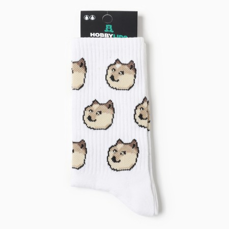Male socks "dog meme", white color, rr 40-44-2