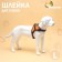 Shleka improved K7 soft reflective, size L, OG 64-86 cm, weight 18-27.5 kg, orange 38116