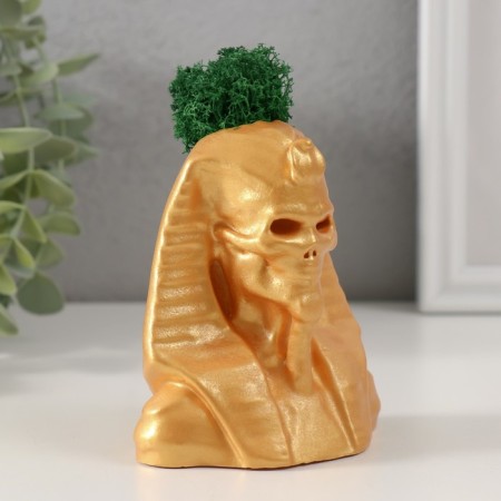 Kashpo concrete "Skeleton of the pharaoh" with moss 10*8.5cm gold (moss green stabilized)-1