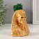Kashpo concrete "Skeleton of the pharaoh" with moss 10*8.5cm gold (moss green stabilized)