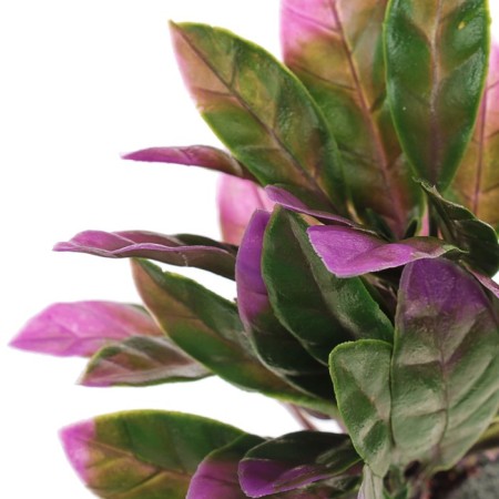 Artificial Aquarium plant, 15 x 15 x 12 cm-3