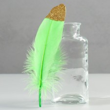 A set of goose feathers 15-20 cm, 10 pcs, a green apple with a golden crumb
