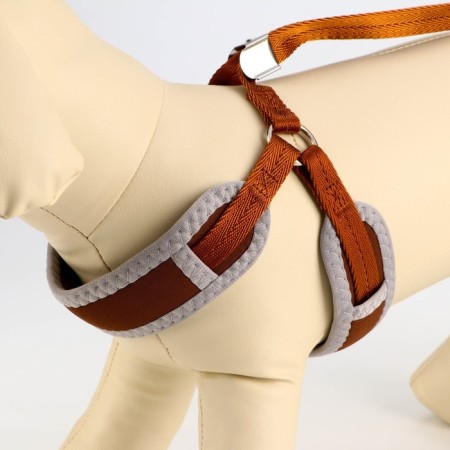 Soft holl set, leash 120 x 1.5 cm with a swivel, m, ok 32-72 cm, og 32-72 cm, brown-2