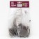 Iris Siberian "Dabble Standard", 1 pc, rr I, spring 2025