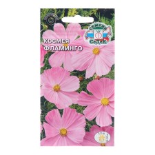 Fllaming Cosmea Flower seeds, Euro, 0.5 g