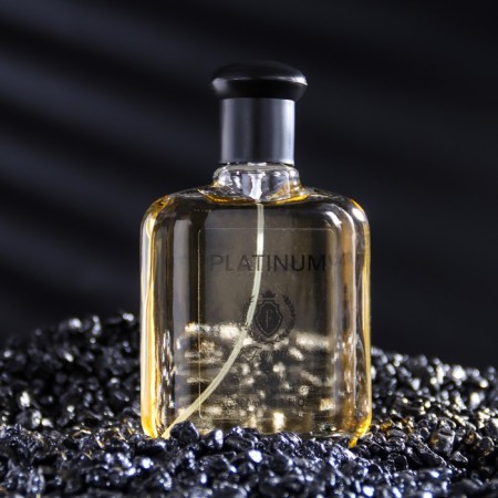 Men's toilet water Favorit Platinum, 100 ml (based on Egoiste Platinum (Chanel)-1