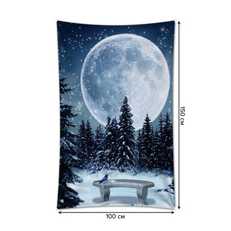 Decorative panel with photo printing "bench in a spruce forest", vertical, size 100x150 cm-1
