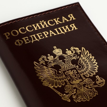Passport cover, brown color-6