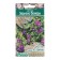 Legusia Seeds "Mirror of Venus", 0, 1 g