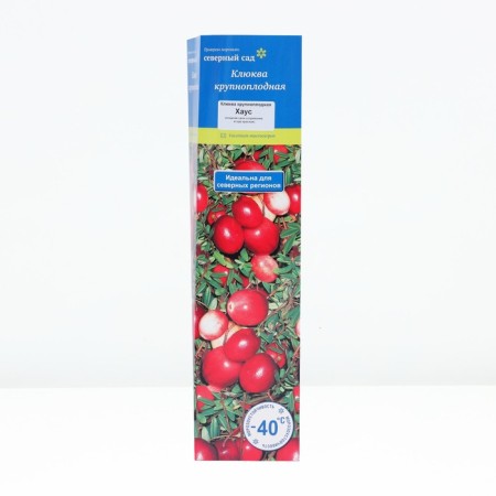 Cranberry large -fruited "House", tube, 1 pc, spring 2025