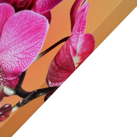 Picture on the canvas "Pink Orchid" 50*70 cm-1