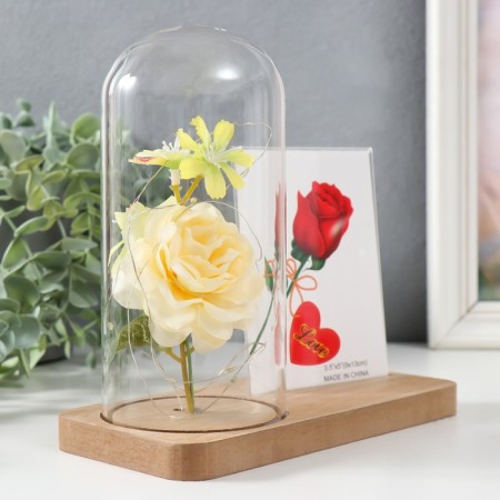 Photo frame 9x13 cm light "White rose in a flask" from batteries 2hlr1130 9.8x19.5x18 cm-2