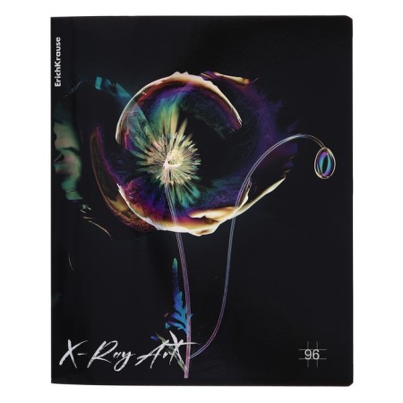 A notebook of 96 sheets in the Erichkrause "X-Ray Art", holographic lamination, an offset block 100%, mix-6