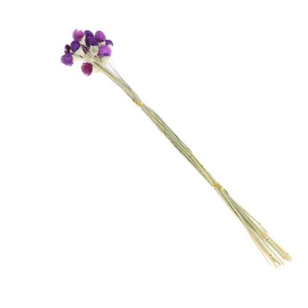 Sukhotzet "Gofreni Sherrovid" set 20 pcs., Color dark violet-4