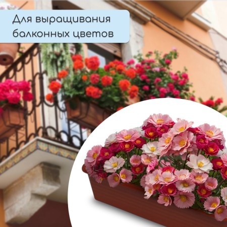 Box for seedlings, 48 ​​× 20 × 10 cm, 8 l, color mix-4