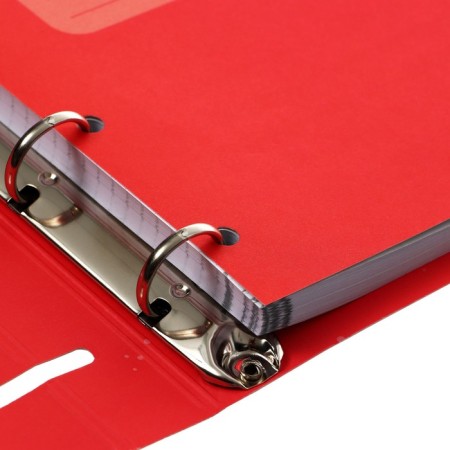 Notebook on A5 rings, 100 sheets in the Meshu Amazing Cats cage, cover coated cardboard, matte lamination, selective UV-clock-3