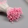 Stamens for artificial flowers gloss "risinki" pink set 360 pcs length 6 cm