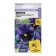Viola flowers "Terry Patterns", blue, F1, c/p, 5 pcs.