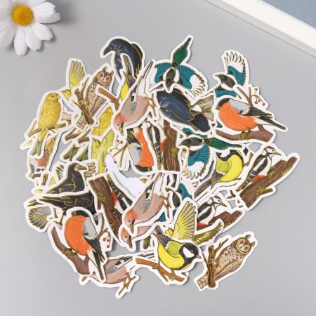 Stickers for creativity "City and forest birds" embossing gold set 48 pcs 9x7x0.8 cm-2