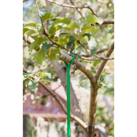 Support for branches, h = 160-280 cm, leg d = 1.6 cm, metal, green-4