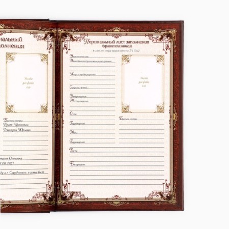 The genealogy book in the box "Family Tree", 56 sheets, 20 x 26 cm-9