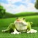 Pot "Frog" 14x35x25cm